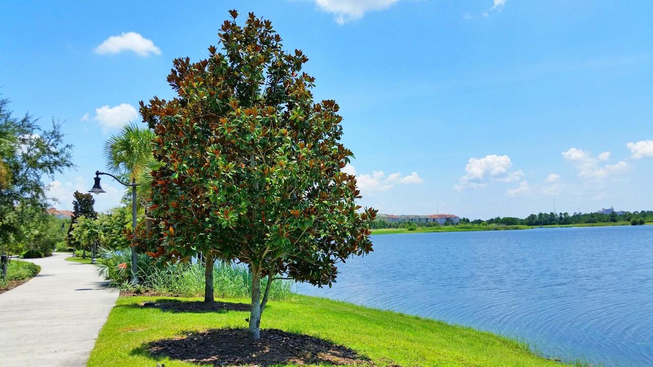 Lakeview Dreams Kissimmee Εξωτερικό φωτογραφία